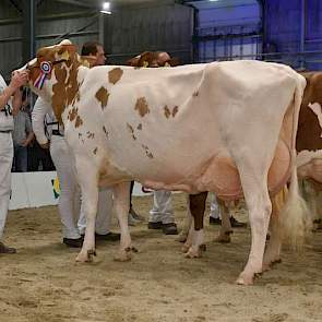 De 1A-positie en het reservekampioenschap waren er voor Grashoek Maria 4 (Warsteiner x Classic) van weer de broers Engelen uit Grashoek.