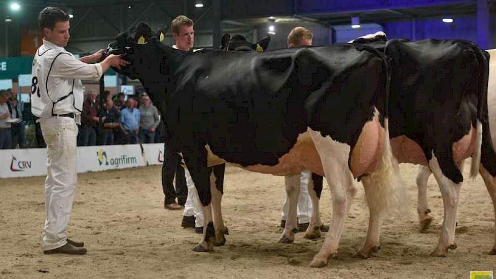 De 1A-positie en een eervolle vermelding waren er voor W H Jenny (Goldwyn x Lheros) van Van Loenhout uit Prinsenbeek.