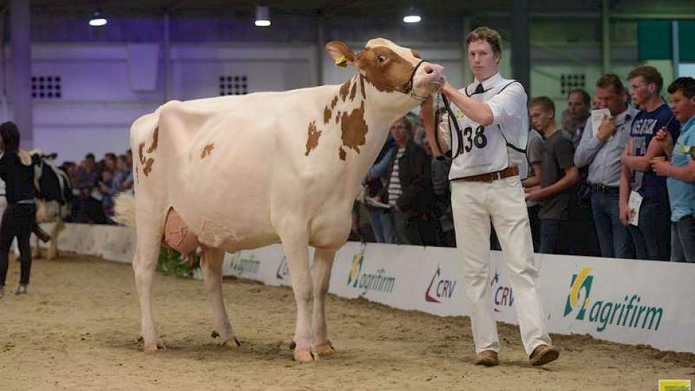 Het kampioenschap ging naar Jipsing Bontje 40 (Lucrative x Fabian) van andermaal de familie Engelen uit Grashoek.