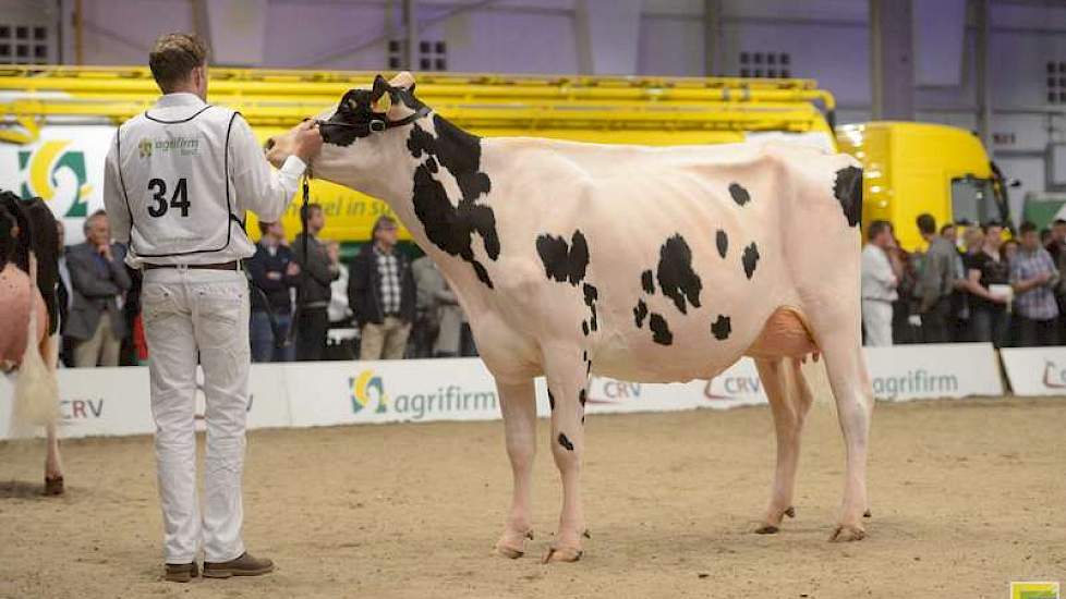 Het kampioenschap ging naar de 1A van de tweede rubriek, Bons-Holsteins Aaltje 111 (Windbrook x Talent) van Bons uit Ottoland.