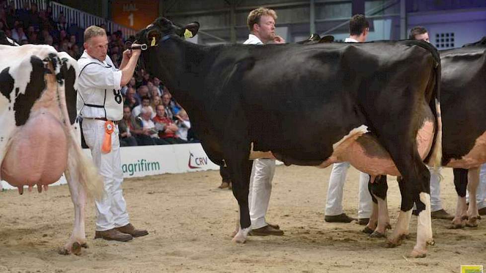 Nogmaals Adrion van Beek met De Rith Tetje 204.