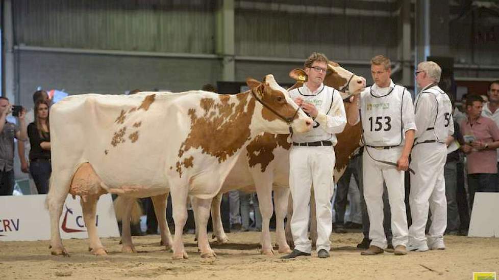 De 1C-klassering in de rubriek met oudste koeien was er voor Catharina 68 (Kian x Stadel) van Van Zetten uit Kesteren.