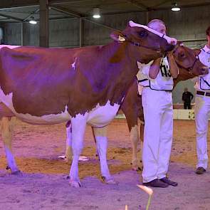 Nogmaals Grashoek Nel 139, rechts de 1A en kampioene M.H. Alana 5 (v. Amor Red) van Merwehoeve De Groot uit Herwijnen.