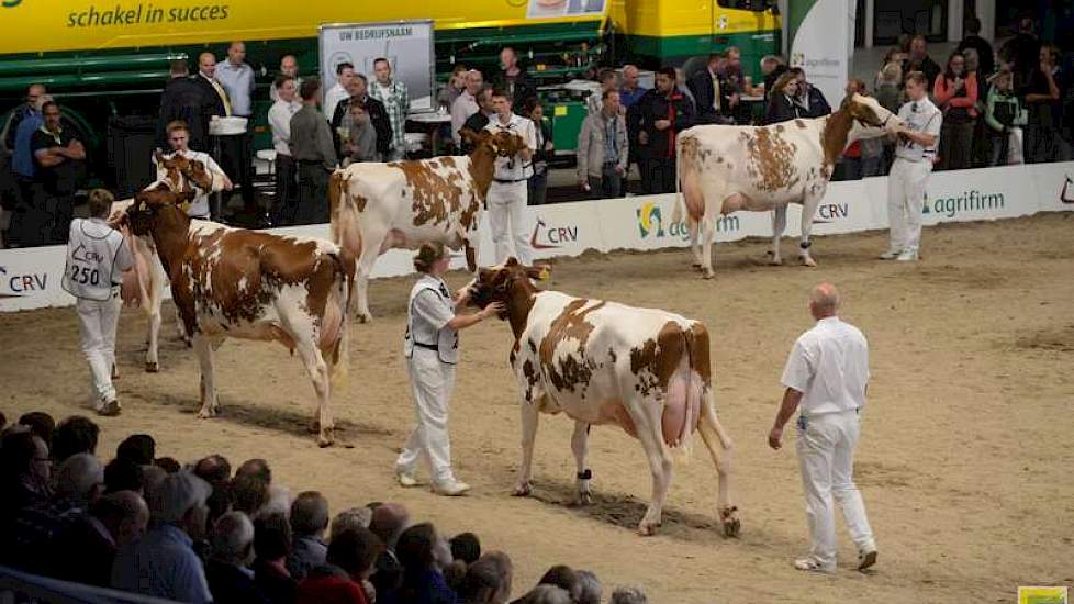 De dochters van Camion van de Peul (Fender x Goldwyn).