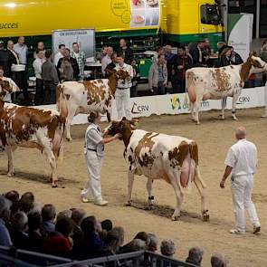 De dochters van Camion van de Peul (Fender x Goldwyn).