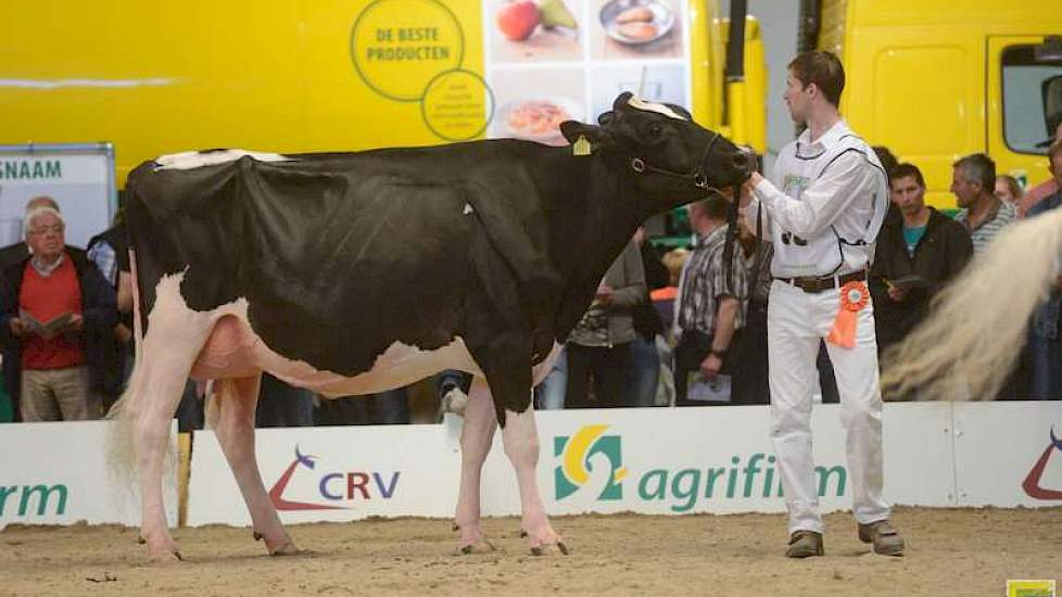 De 1C-klassering in de tweede rubriek vaarzen was voor Bons-Holsteins Ella 192 (Seaver x Mailing) van Bons uit Ottoland.