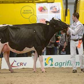 De 1C-klassering in de tweede rubriek vaarzen was voor Bons-Holsteins Ella 192 (Seaver x Mailing) van Bons uit Ottoland.