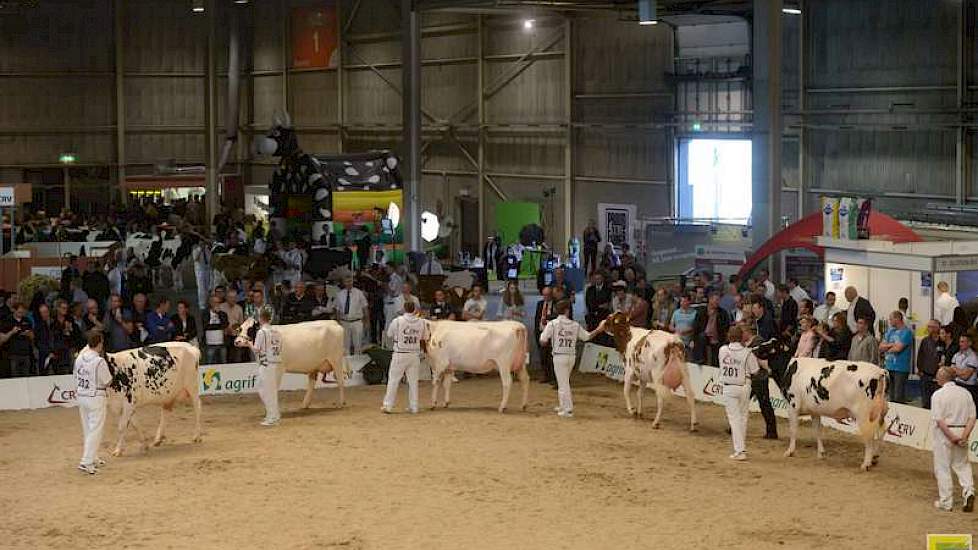 Na de middenklasse was het de beurt aan de dochtergroepen, met Batenburg G Stellando (Fidelity x O Man) die het spits afbeet.