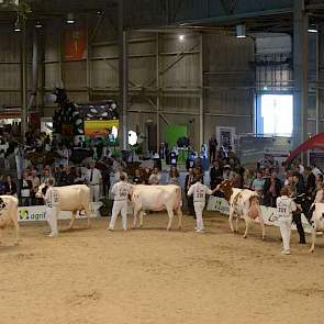 Na de middenklasse was het de beurt aan de dochtergroepen, met Batenburg G Stellando (Fidelity x O Man) die het spits afbeet.