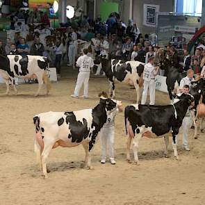 De dochters van Cookiecutter Mom Hunter (Man-O-Man x Shottle).