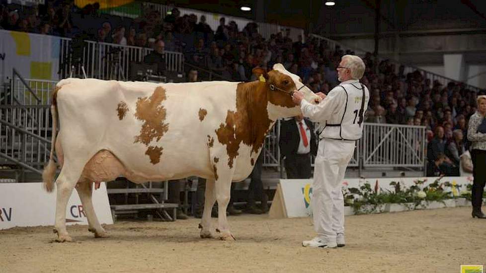 En het kampioenschap ging naar de oudste roodbonte koe, de bijna negen jaar oude Gasthuis Konvoy Suzanne (Konvoy x Stadel) van Van Buuren uit Leerbroek.