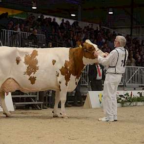 En het kampioenschap ging naar de oudste roodbonte koe, de bijna negen jaar oude Gasthuis Konvoy Suzanne (Konvoy x Stadel) van Van Buuren uit Leerbroek.