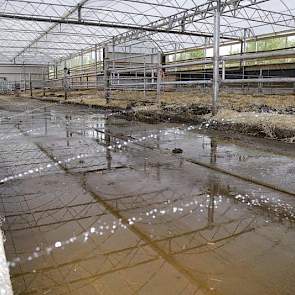 Op de foto zijn stralen water te zien die de mestgang besproeien om gladheid te voorkomen. Na ingebruikname van de stal, was het uitglijden van koeien een doorn in het oog van de veehouder. Hij bedacht direct een oplossing, kocht een rubberen waterslang,