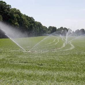 Kok heeft alle percelen eenmaal  beregend. Omdat er afgelopen weekend 25 mm regen is gevallen, denkt Kok niet dat het nog een keer nodig is, voor hij de derde snede gaat binnenhalen.