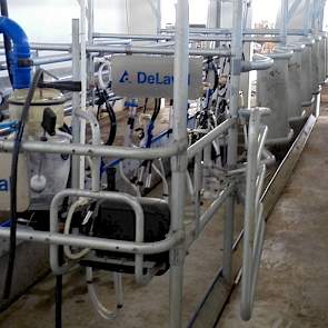 Beide pilot bedrijven maken gebruik van een 2 x 6 Delaval Swing-over-melksysteem. De melkslangen hingen nog niet in de goede positie onder de koe. De melkklauw hangt normaliter recht onder de koe. „Ik heb laten zien hoe het apparaat makkelijk met een beug