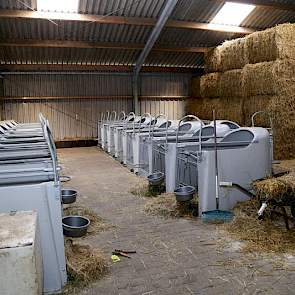 De jongste kalveren staan in verrijdbare boxen. William koos hiervoor omdat ze makkelijk zijn schoon te spuiten en door het lichte gewicht gemakkelijk zijn in arbeid.