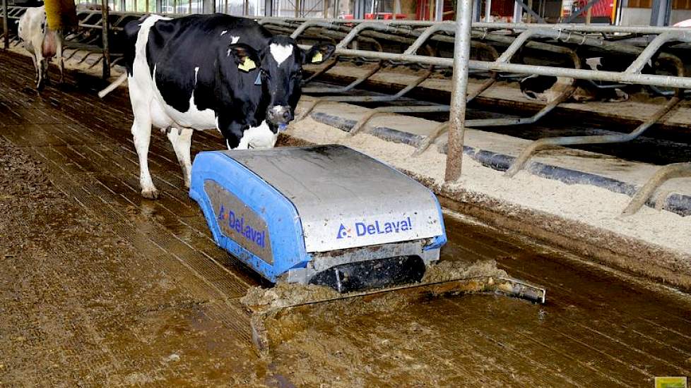 Gekozen is voor een mestschuif die water vooruit sproeit, om zo aangekoekte mest beter mee te borstelen naar de afvoer geulen.