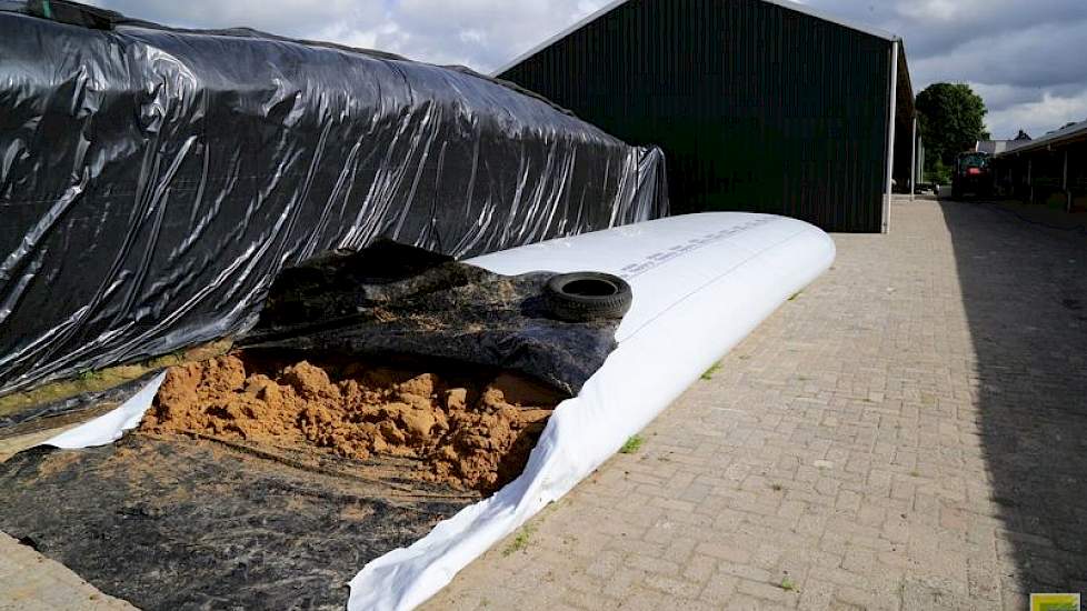 De melkkoeien krijgen een rantsoen bestaande uit 60 procent gras, 40 procent mais, twee soorten brok en Protiplus. Het extra eiwit ligt opgeslagen in een slurf naast de melkstal.