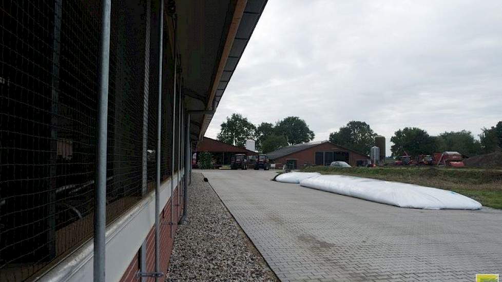 Er heeft een schaalsprong plaatsgevonden op het bedrijf. Op de achtergrond de oude ligboxenstal, die plaats bood aan 90 koeien. Platerink kocht bijna 200 koeien aan in Denemarken.