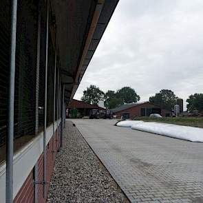 Er heeft een schaalsprong plaatsgevonden op het bedrijf. Op de achtergrond de oude ligboxenstal, die plaats bood aan 90 koeien. Platerink kocht bijna 200 koeien aan in Denemarken.