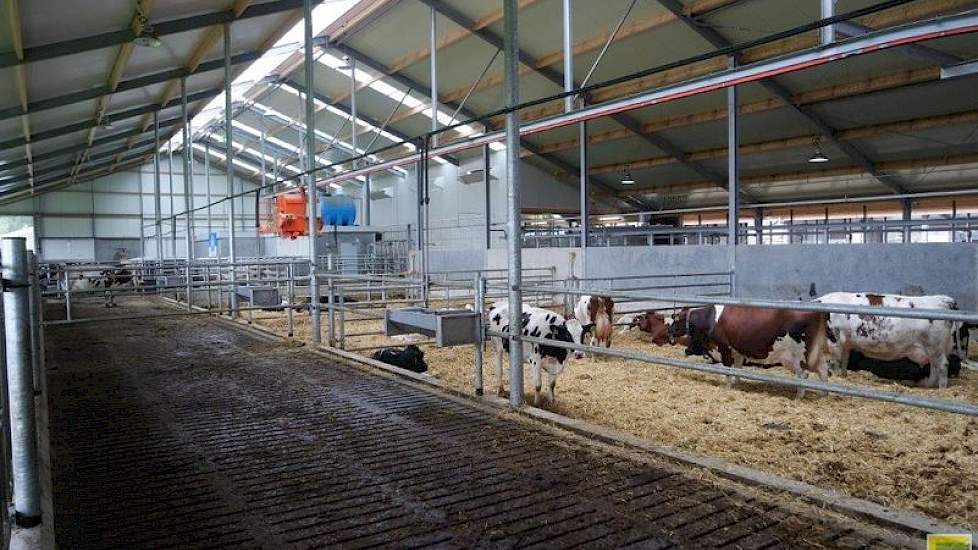 Het melkstalgebouw maakt deel uit van een groter stalgebouw, voorzien van een potstal voor kalfkoeien. Daarnaast is er een ziekenboeg en een dekstal met een dekstier. Alles voorzien van selectiepoorten.