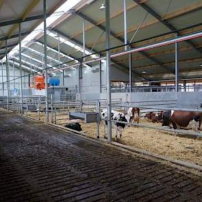 Het melkstalgebouw maakt deel uit van een groter stalgebouw, voorzien van een potstal voor kalfkoeien. Daarnaast is er een ziekenboeg en een dekstal met een dekstier. Alles voorzien van selectiepoorten.