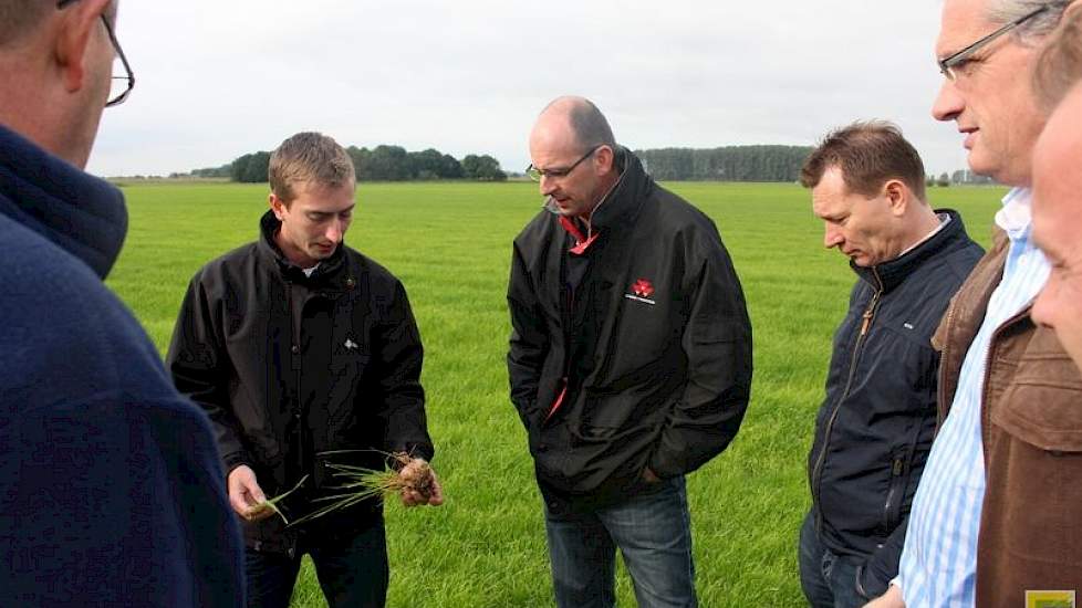 Na vier keer injecteren, zo ervaart Van Schriek, staat het gras behoorlijk hol. Daarom zaait hij jaarlijks met hetzelfde mengsel van Engels raai en Timothee al zijn percelen door. Ook beregent hij fanatiek. Dit jaar 600 uur en dat levert hem nu een mooie