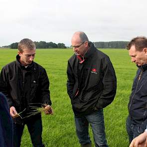 Na vier keer injecteren, zo ervaart Van Schriek, staat het gras behoorlijk hol. Daarom zaait hij jaarlijks met hetzelfde mengsel van Engels raai en Timothee al zijn percelen door. Ook beregent hij fanatiek. Dit jaar 600 uur en dat levert hem nu een mooie