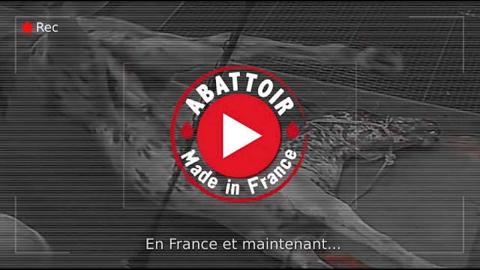 Abattoir made in France - Alès (English subtitles)