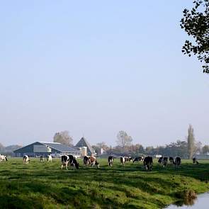 Toen Jos in 1997 het bedrijf van zijn vader overnam, molk hij 30 koeien op de grupstal. Daarnaast werkte hij nog buiten de deur. In 2001 werd er een 2+1 rijige ligboxstal gebouwd met 85 ligboxen, met als doel 1 miljoen kilo melk af te leveren, zodat ook z