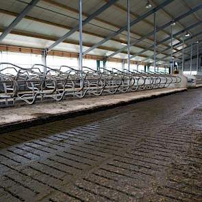 Als boxbedekking kozen ze voor een koematras, vergelijkbaar met die van de oude stal. Diepstrooisel is niet ter sprake geweest. 'Koematrassen bevallen ons prima en het kost weinig arbeid', stelt de veehouder.