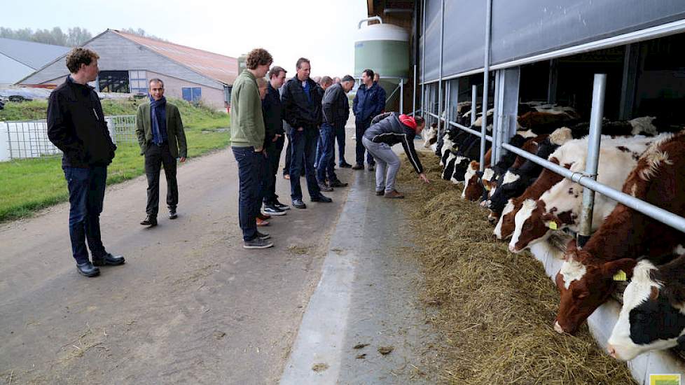 Bij de nieuwe 'Weidestal' ligt de focus op maximale weidegang, op het sluiten van kringlopen, op energie- en waterneutraal en antibioticavrij. Het jongvee krijgt hier hetzelfde ruwvoer als de droge koeien.