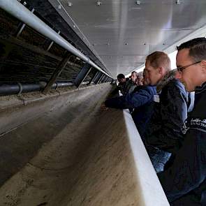 De koeien worden gevoerd middels een Feedwall. Een Finse uitvinding waarbij het voer niet meer aangeveegd hoeft te worden. Eventuele voerresten die toch achterblijven worden door stagiaires handmatig verwijderd.