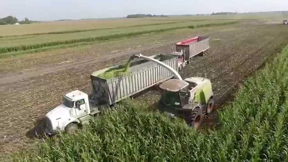 CY Harvesting, Chopping Silage 2015