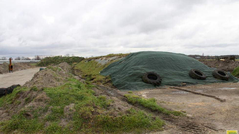 De maïskuilen dekt Pijs af met een dikke laag zand, die hij er deels afschept met de shovel en deels met de schop. ‘Zand kost extra werk, maar als het  broei voorkomt dan heb ik dat er wel voor over.’