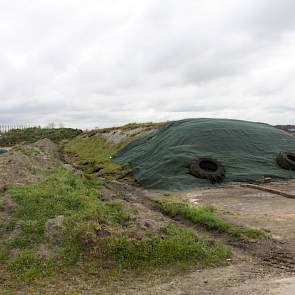 De maïskuilen dekt Pijs af met een dikke laag zand, die hij er deels afschept met de shovel en deels met de schop. ‘Zand kost extra werk, maar als het  broei voorkomt dan heb ik dat er wel voor over.’