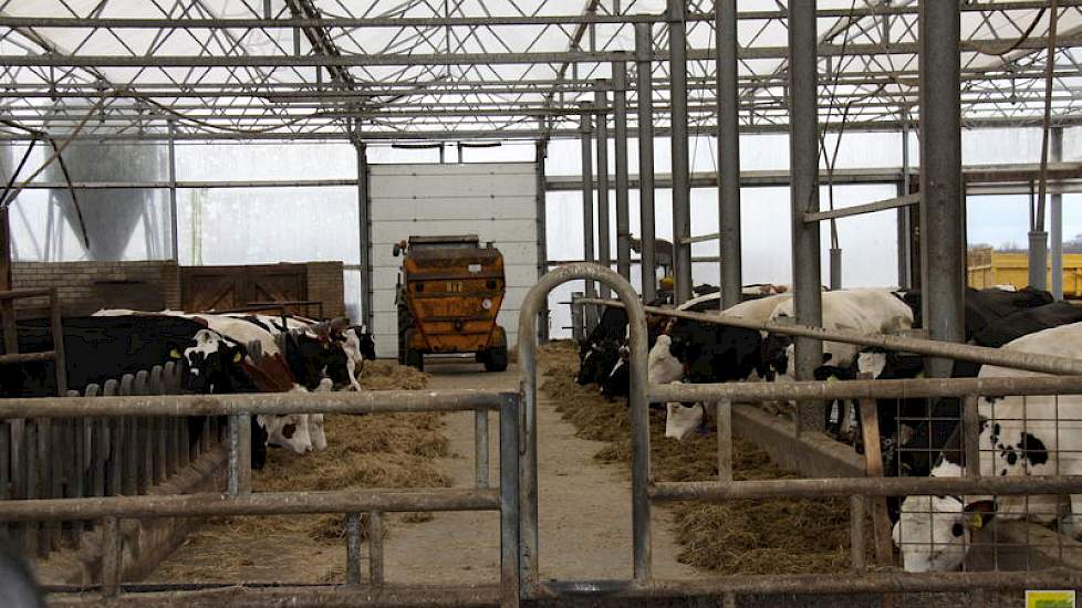 De veehouder kocht destijds bewust een mengwagen zonder frees. ‘Ik wilde beslist niet frezen. Bij een mengwagen met frees ben je tegelijk ook aan het mengen. Hiermee meng je in verhouding veel te lang en verlies je de structuurwaarde van het voer.’