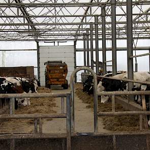 De veehouder kocht destijds bewust een mengwagen zonder frees. ‘Ik wilde beslist niet frezen. Bij een mengwagen met frees ben je tegelijk ook aan het mengen. Hiermee meng je in verhouding veel te lang en verlies je de structuurwaarde van het voer.’