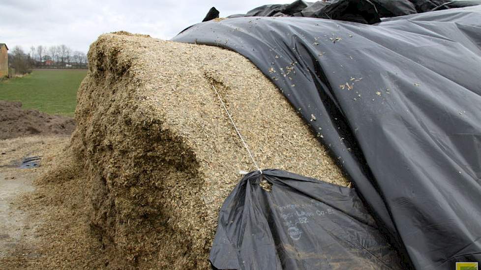 Om broei bij de zijkanten te voorkomen, legde Pijs een extra stuk plastic, deels onder de kuil. Deze vouwde hij naar boven tegen de zijkant en met een touw wat over de kuil is gespannen, wordt het plastic op zijn plaats gehouden. Ook voorkomt dit het indr