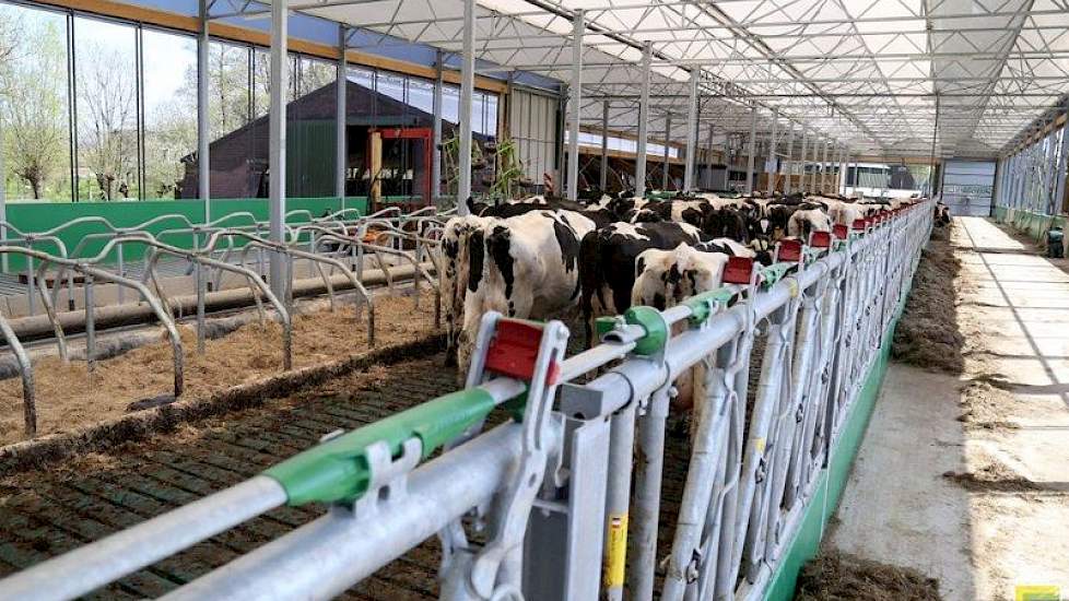 De Greenestfarm, met diepstrooiselboxen, heeft letterlijk een groene uitstraling.