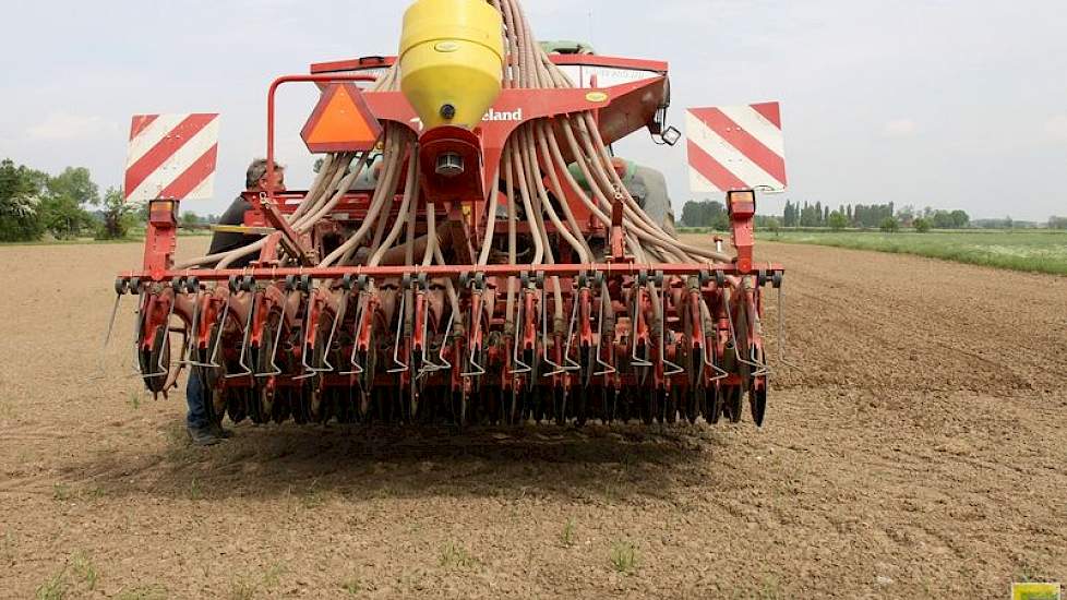 De beworteling van de luzerne (alfalfa) gaat tot 4,5 meter diep en eenmaal goed aangeslagen, is het tegen grote droogte bestand. Tegen het najaar zal de luzerne blauwe bloemen dragen.