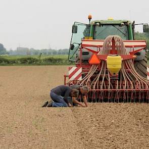 Op 2 hectare waar voorheen gras stond, brengt de loonwerker het luzernezaad in de grond. Tussen de 12 schijven valt (op het oog) iedere centimeter een zaadje, dat op 2 centimeter diep zal gaan kiemen.