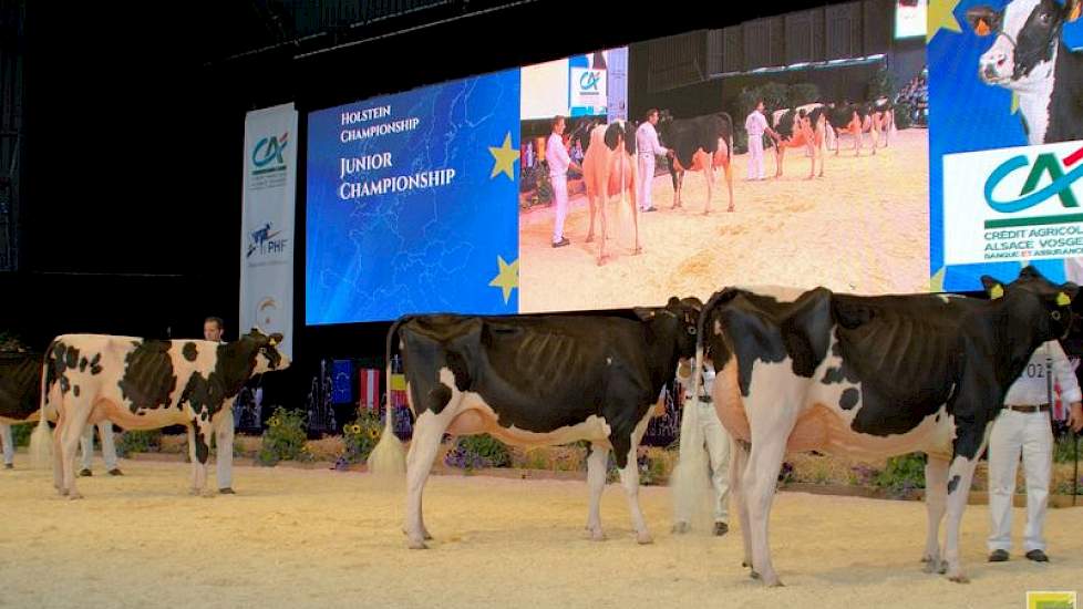 Rechts Bons-Holsteins Koba 219 opgesteld in de finale, links kampioene CPP Aftershock Pandora uit Zwitserland.