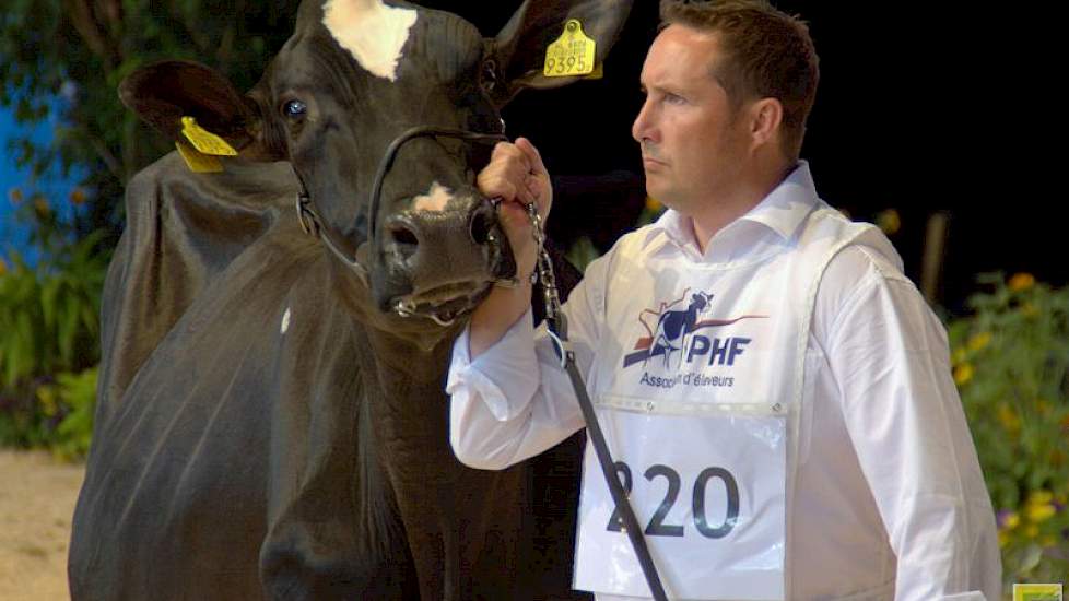 In de laatste middenklasserubriek was er bijna weer succes voor de familie Bons. Ella 192 (Seaver x Mailing) eindigde op de derde plaats, alleen de 1A en 1B drongen door tot de finale.