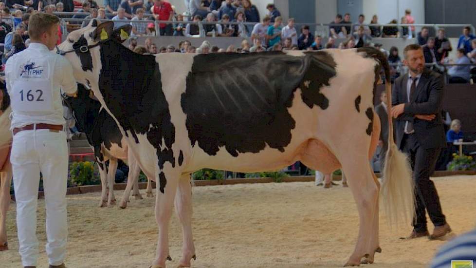 In de eerste middenklasserubriek eindigt Zandenburg Meridian Camilla (v. Meridian) van de familie Sommers uit Elsendorp op de tiende plaats van de in totaal twaalf dieren.