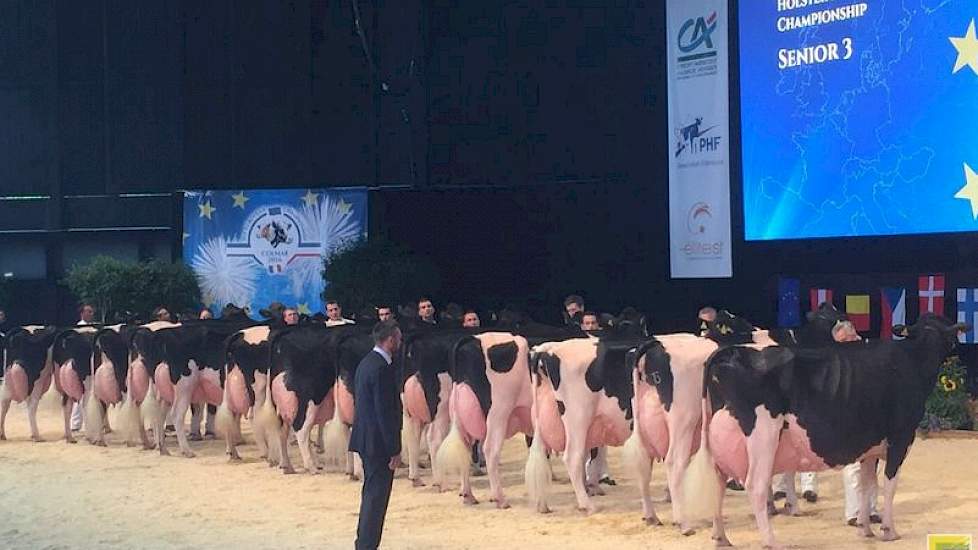 De ijzersterke rubriek met de oudste Holsteins. Rechts reservekampioene Ashlyn Vray (Goldwyn x Lheros) uit Spanje, ernaast de Duitse Lady Gaga (Modest x Lheros). Op de zesde plaats, ze zou later nog een plaatsje klimmen, NRM-kampioene Bons-Holsteins Koba