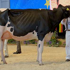 Bons-Holsteins Koba 219 (Lauthority x Damion) pakte in de eerste zwartbonte rubriek direct de koppositie.