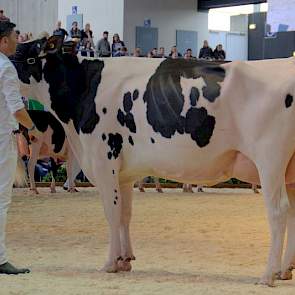 De tiende plaats in deze rubriek was voor Future Dream H. Darina (Snowman x Goldwyn) van andermaal Wijnker.