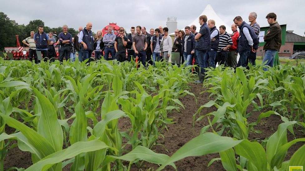 Drie ton extra per hectare. Dat moet het zaaien van mais in een ruitvorm op een rij-afstand van 37.5 cm opleveren aan extra opbrengst, dankzij betere benutting van het licht en minder onkruiddruk. Maar het is wennen aan het rommelige zaaibeeld. Loonbedrij