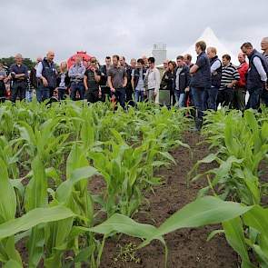 Drie ton extra per hectare. Dat moet het zaaien van mais in een ruitvorm op een rij-afstand van 37.5 cm opleveren aan extra opbrengst, dankzij betere benutting van het licht en minder onkruiddruk. Maar het is wennen aan het rommelige zaaibeeld. Loonbedrij